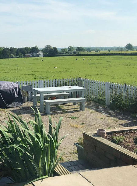 Design a Garden around a Simple Pergola