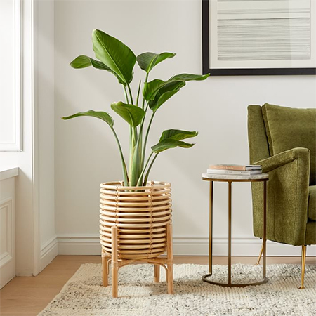 silk plants for rental homes