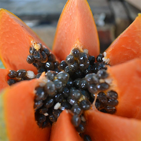 papaya fruit salad breakfast