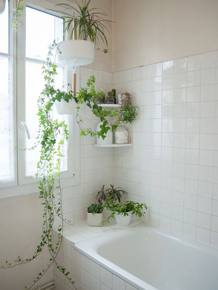 add plants to bathroom
