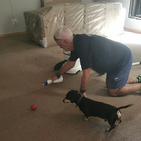 how to remove paint from carpet