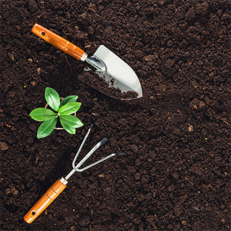5 Simple Techniques to Improve Garden Soil
