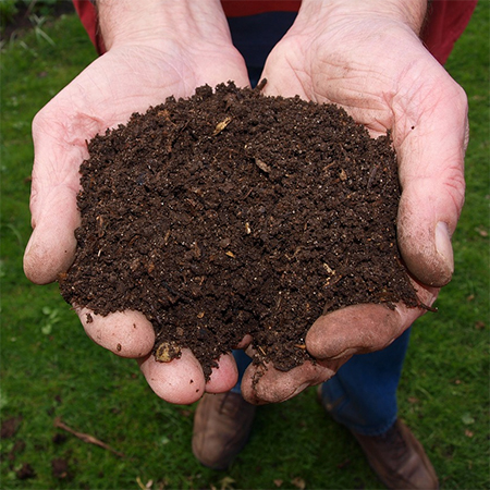 why you should add compost to soil