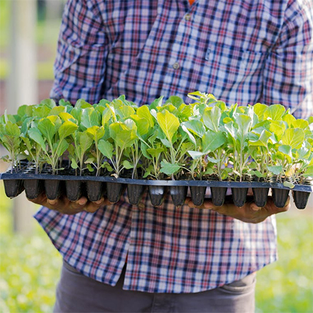 Best DIY Garden Makeover Ideas on a Budget