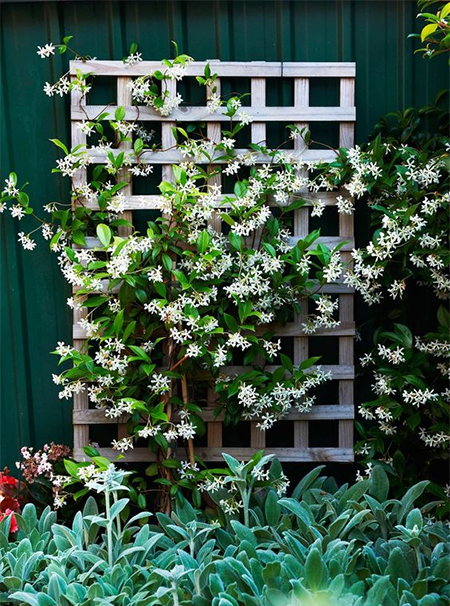how to make garden trellis