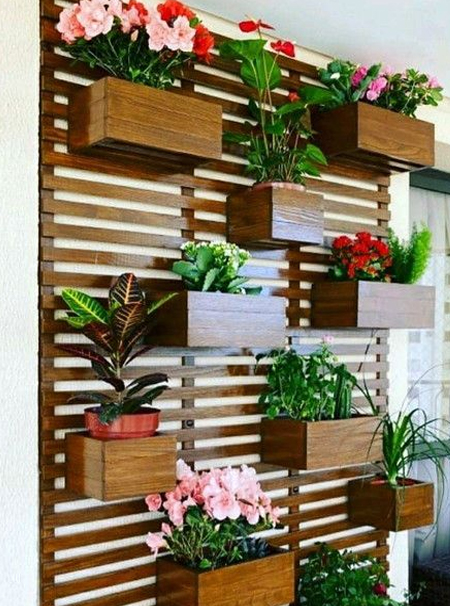 meranti cover strip trellis with wooden planter boxes