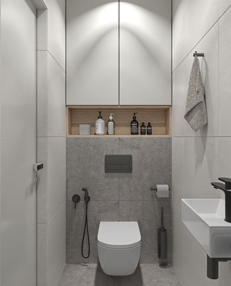 tiles for guest toilet