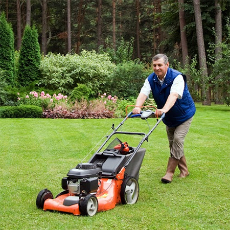 How To Remedy A Bumpy Lawn#