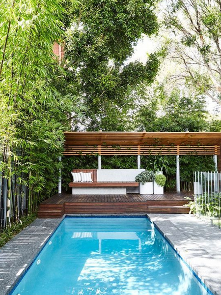bamboo provides shade for swimming pool