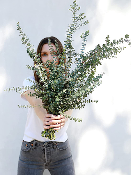 Use Refreshing Eucalyptus Sprigs in the Shower or Bath