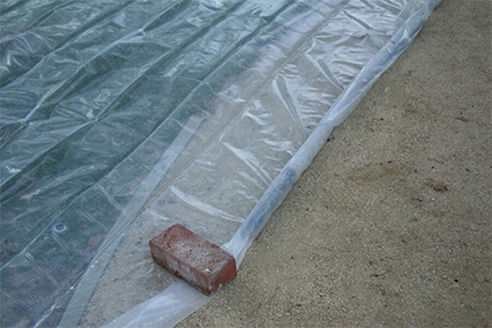 cover sown seed with plastic sheet both summer and winter