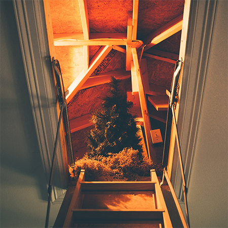 How to Protect Your Attic from Pest Animals
