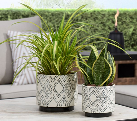 ceramic flower pot designs