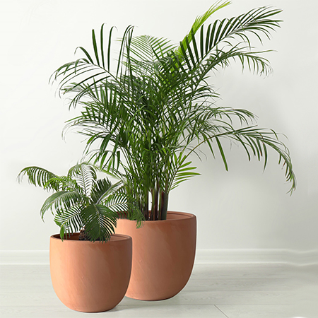terracotta plant pot design
