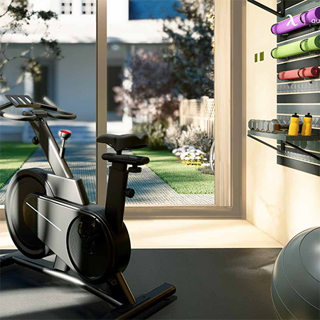 home gym in garden shed