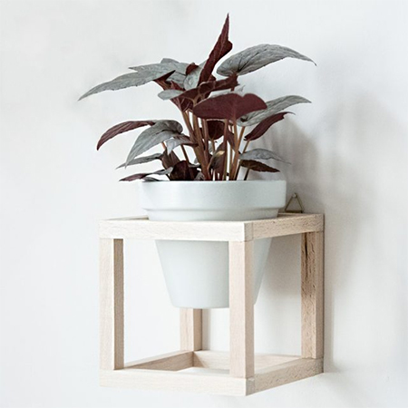 DIY Wood Frame Wall-Mounted Plant Hangers