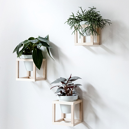 DIY Wood Frame Wall-Mounted Plant Hangers