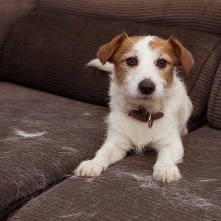 home made fabric deodoriser