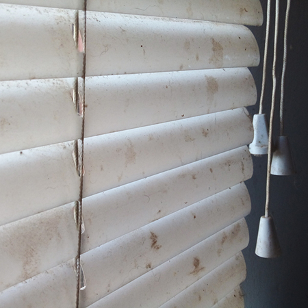 clean greasy window blinds