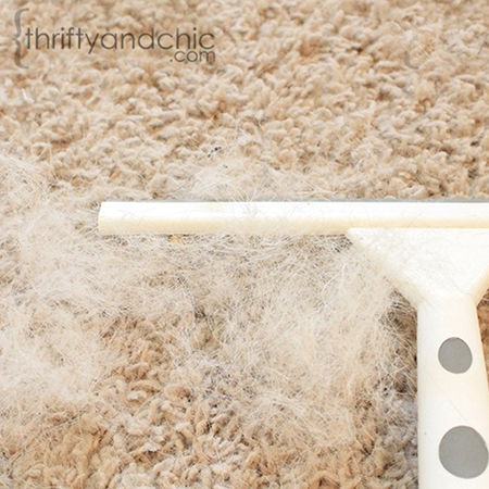 clean carpets with squeegee
