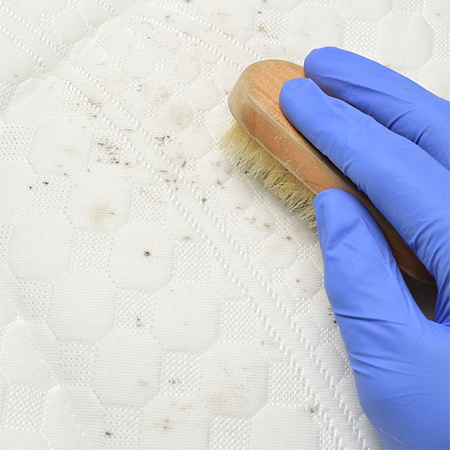 how to treat mould mildew on mattress