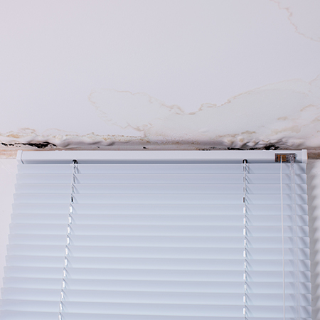 damp and peeling paint around window