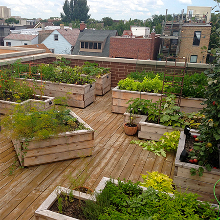 how to set up rooftop garden