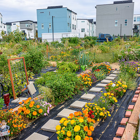 how to establish a community garden