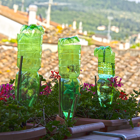 use wine or plastic bottle for watering plants
