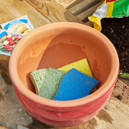 fill plant pots with old sponges