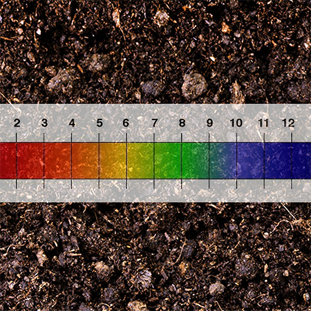 check soil ph