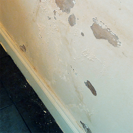 how to get rid of mould