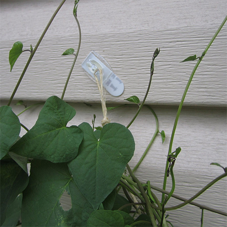 what are command hooks and where can you buy them in South Africa