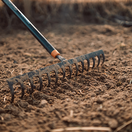 rake soil to remove stones