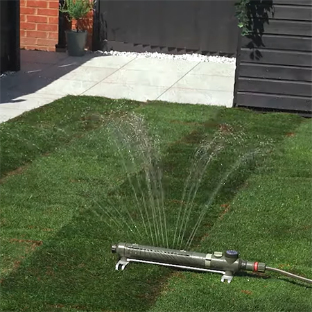 how often do you need to water instant lawn