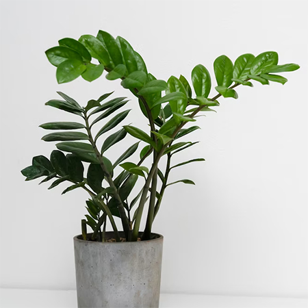 Ideas to Decorate a Student Accommodation