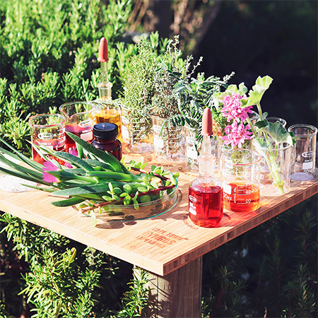 Locally produced honey, indigenous foods and fruits and vegetables