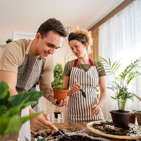 Boosting Your Home's Value With A Garden Room: 5 Tips And Tricks
