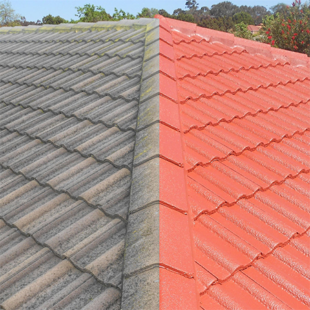 What do I do if my Roof Needs Repairs or Painting