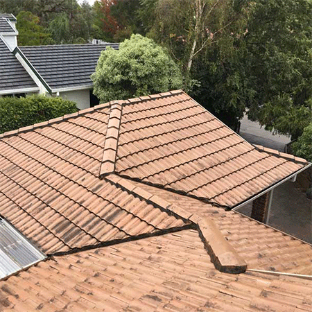 What do I do if my Roof Needs Repairs or Painting