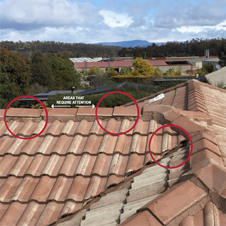 roof repairs and painting near me