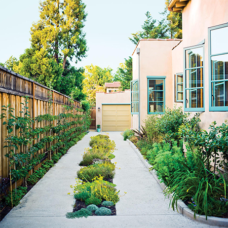 ideas for driveway planting and landscaping