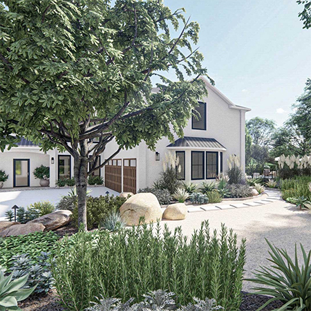 plants for water wise garden