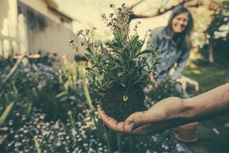 10 garden tips that will enhance your property's aesthetic appeal