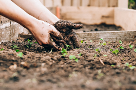 10 garden tips that will enhance your property's aesthetic appeal