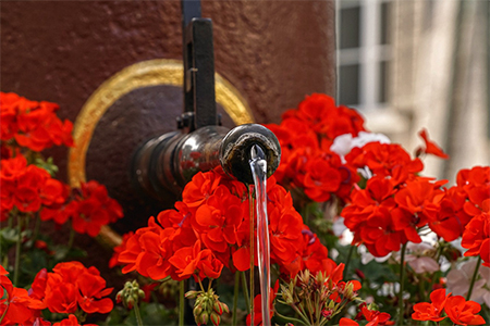 Experiment with different colors and textures