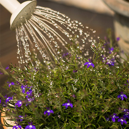 Conserve Water While Cleaning