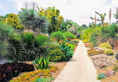 Add indigenous plants along with other plants