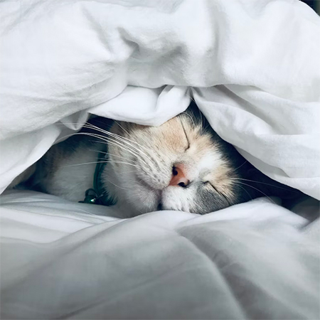 Does Thread Count of Bed Sheets Matter