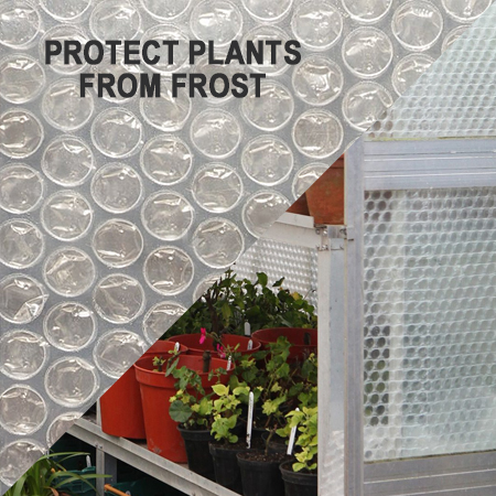 bubble wrap to protect plants from frost
